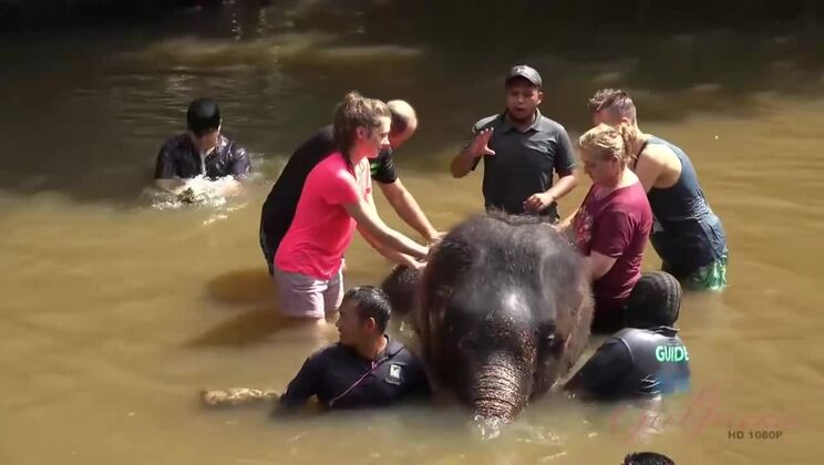 [ATKGirlfriends] - Elena Koshka: Epic Outdoor Adventure with a Brunette Beauty - Elena Koshka