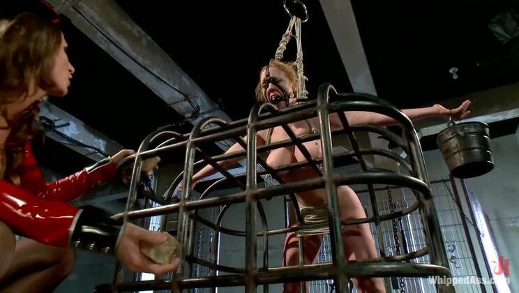 Dee Williams Anal Surrender: Ariel Carmine's Lesdom Power