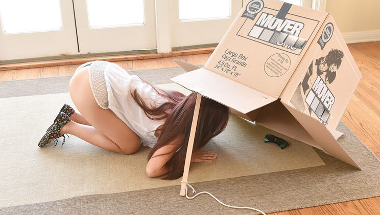 [ExxxtraSmall] - Teen Thief Gets Stuck - Elle Voneva